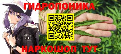 твердый Кандалакша