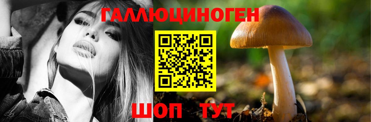Псилоцибиновые грибы Magic Shrooms  Псилоцибиновые грибы Psilocybe  Ставрополь  Вход с VPN 