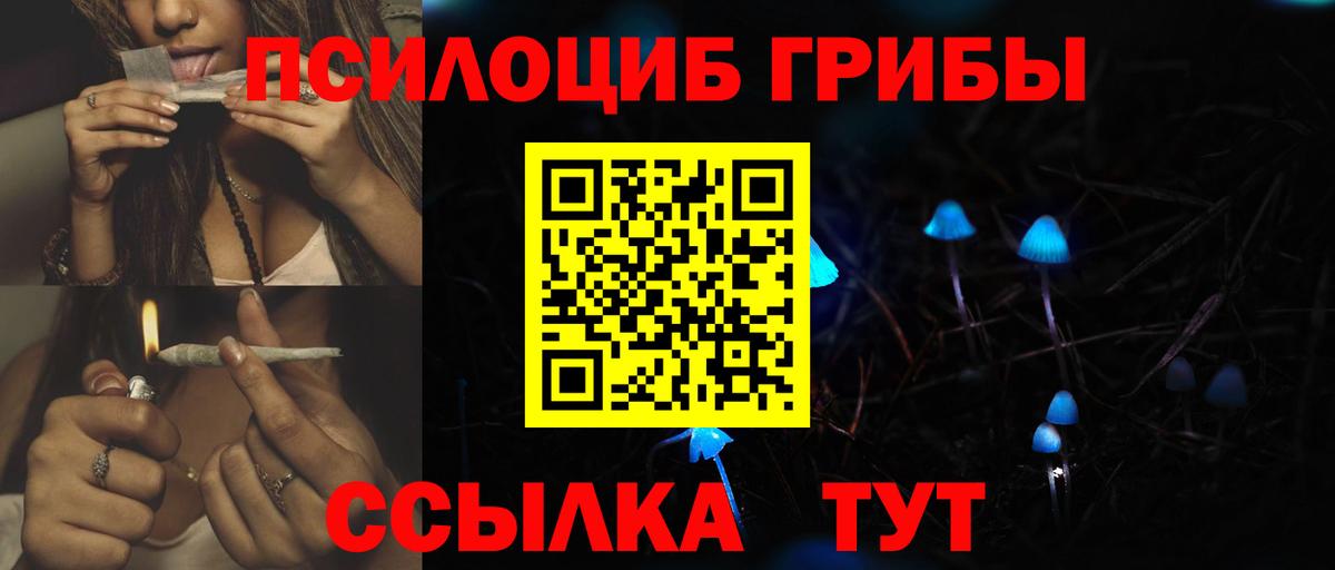Галлюциногенные грибы MAGIC MUSHROOMS Ставрополь